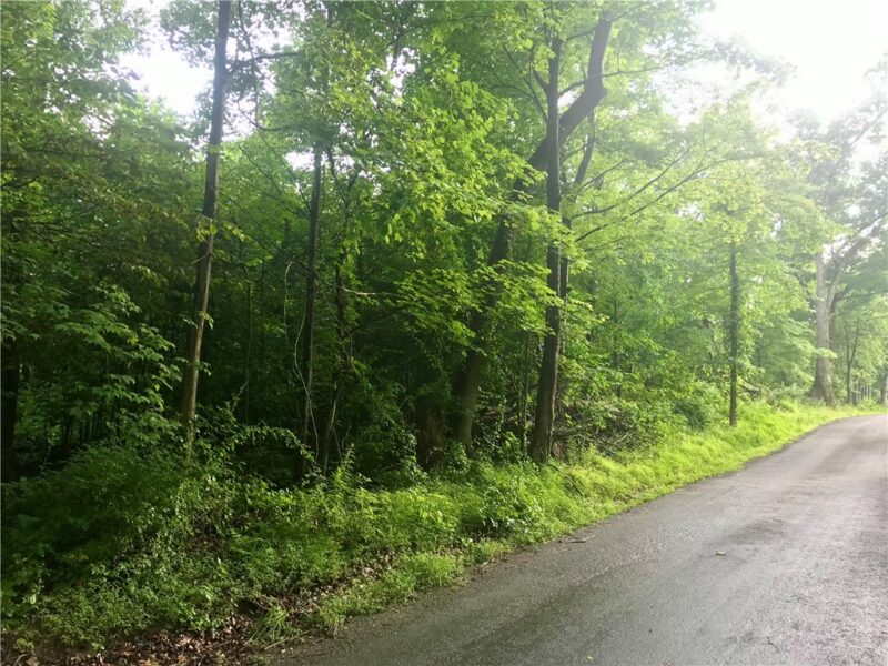 0 Palko Road — photo 7