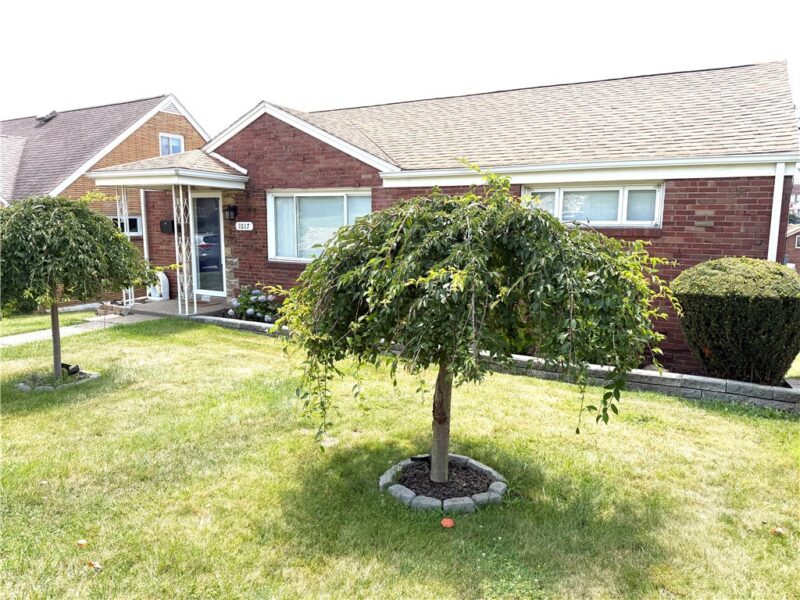 1017 Norwood Street — photo 4