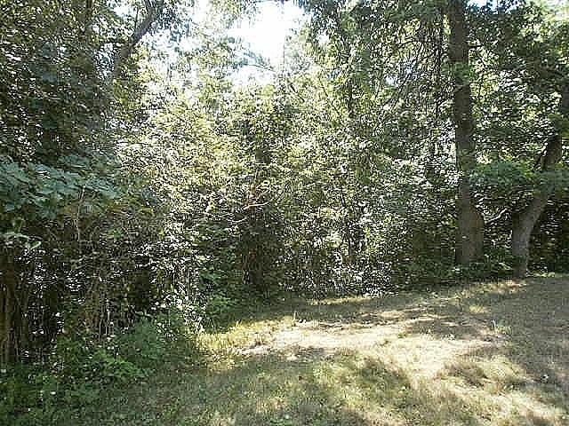 0 MYRNA DRIVE — photo 1