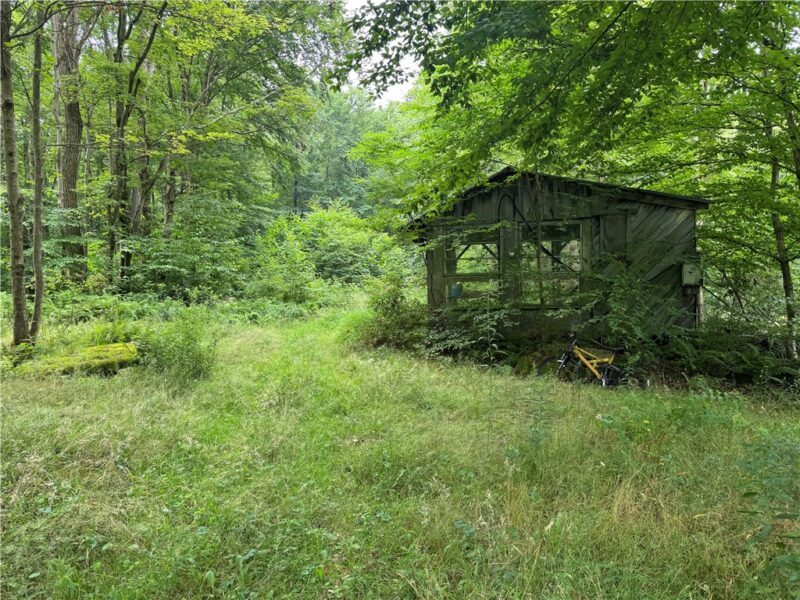 196 Grimm Road — photo 7
