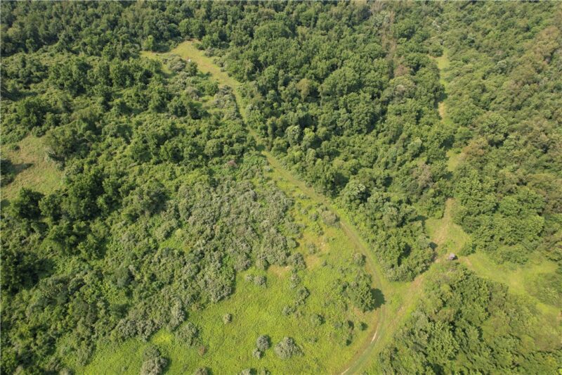 213 E Turnpike Road — photo 3