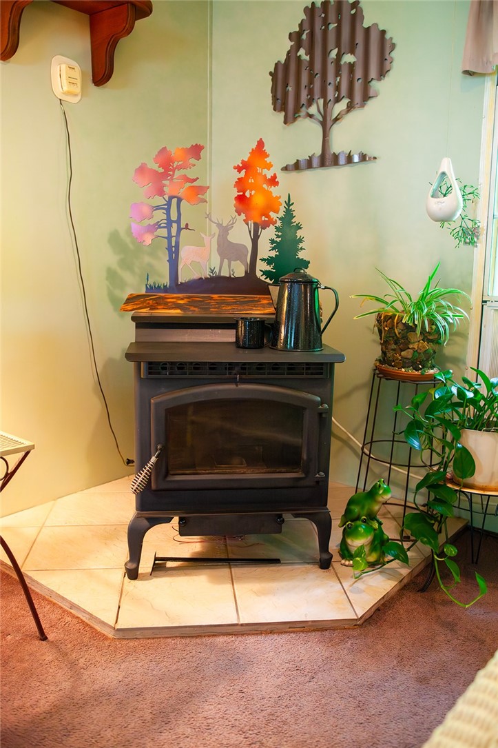 228 Sunny Hill Drive — photo 6