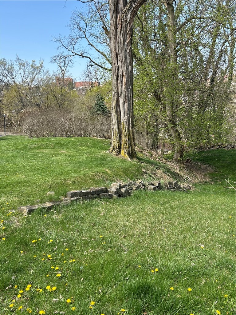 0 Brinwood Ave — photo 3
