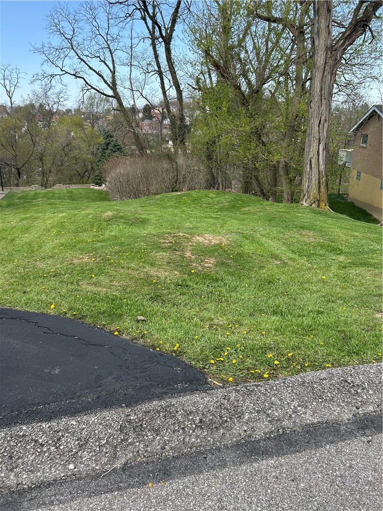 0 Brinwood Ave — photo 6