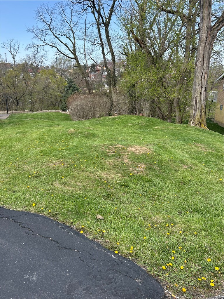 0 Brinwood Ave — photo 7