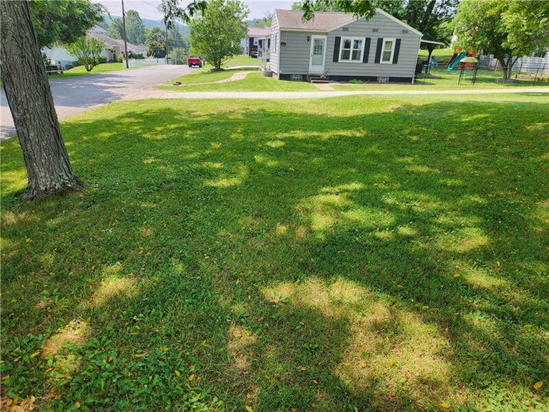 798 Race St — photo 5