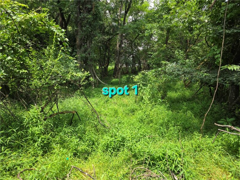 9A1A Farmington Pl — photo 5