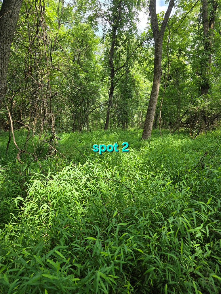 9A1A Farmington Pl — photo 6