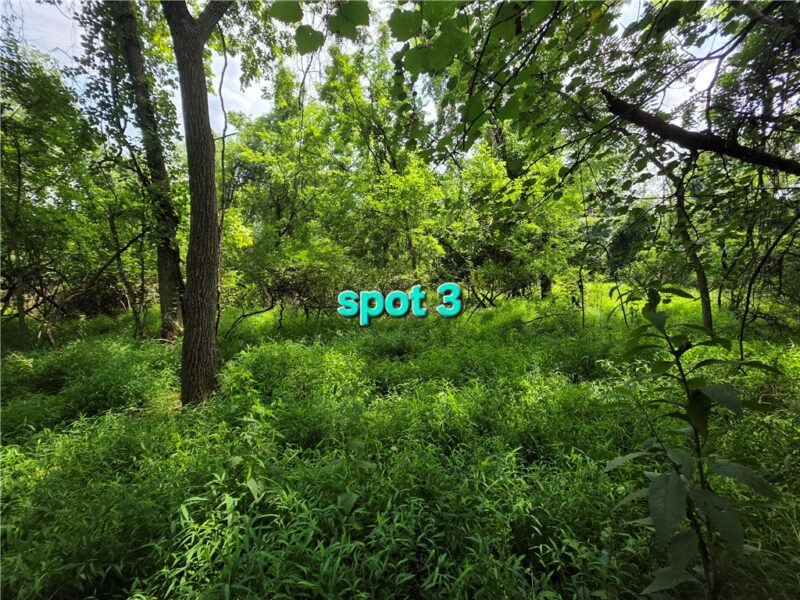 9A1A Farmington Pl — photo 7