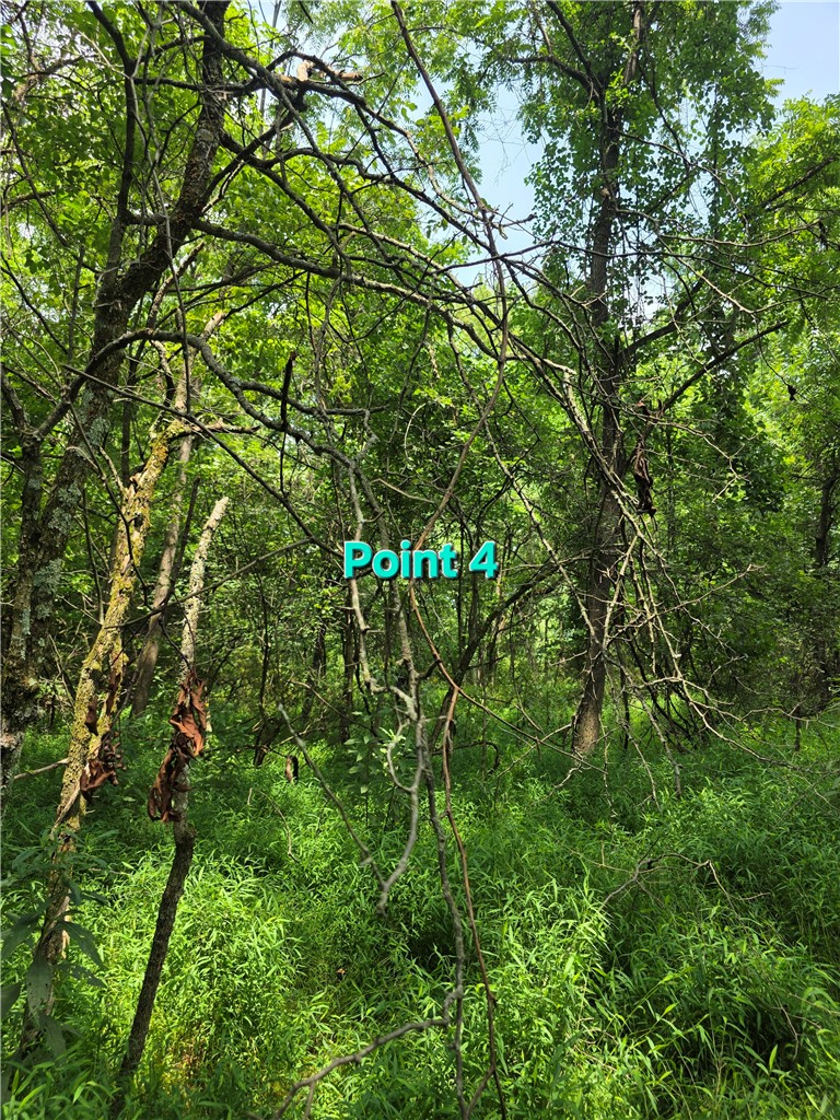 9A1A Farmington Pl — photo 8