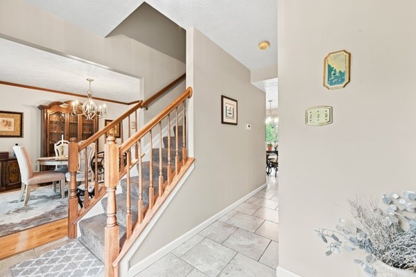 4004 Orchard Circle — photo 6