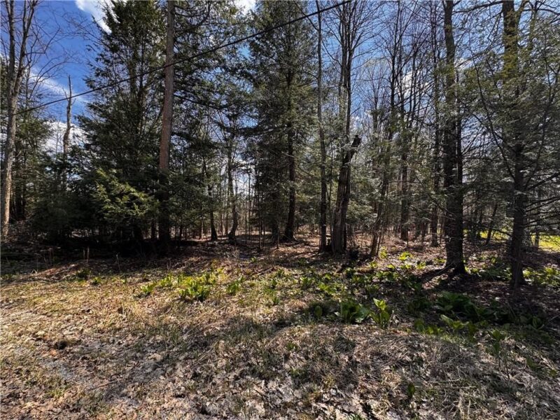 Lot 4 Lake Rd & Danner DRIVE — photo 2