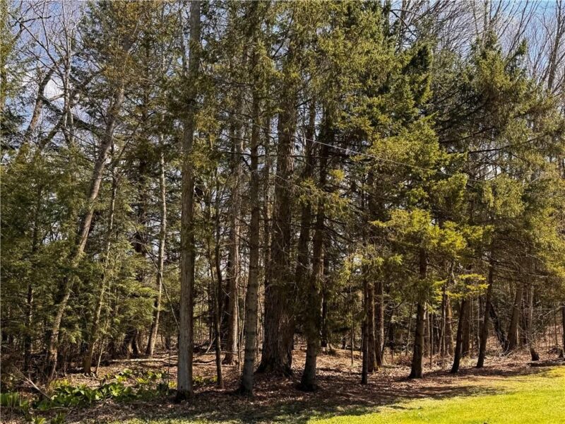 Lot 4 Lake Rd & Danner DRIVE — photo 4