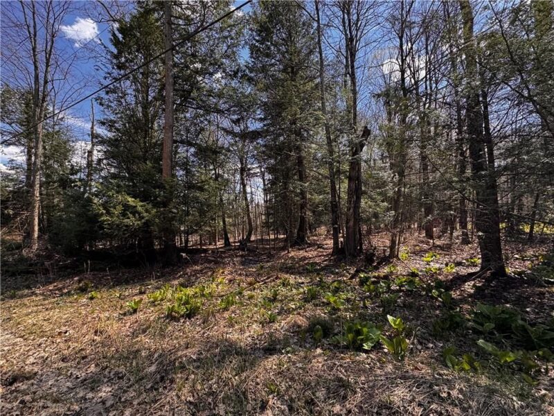 Lot 4 Lake Rd & Danner DRIVE — photo 5