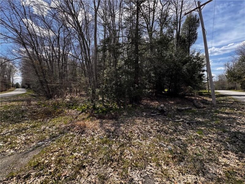 Lot 4 Lake Rd & Danner DRIVE — photo 6