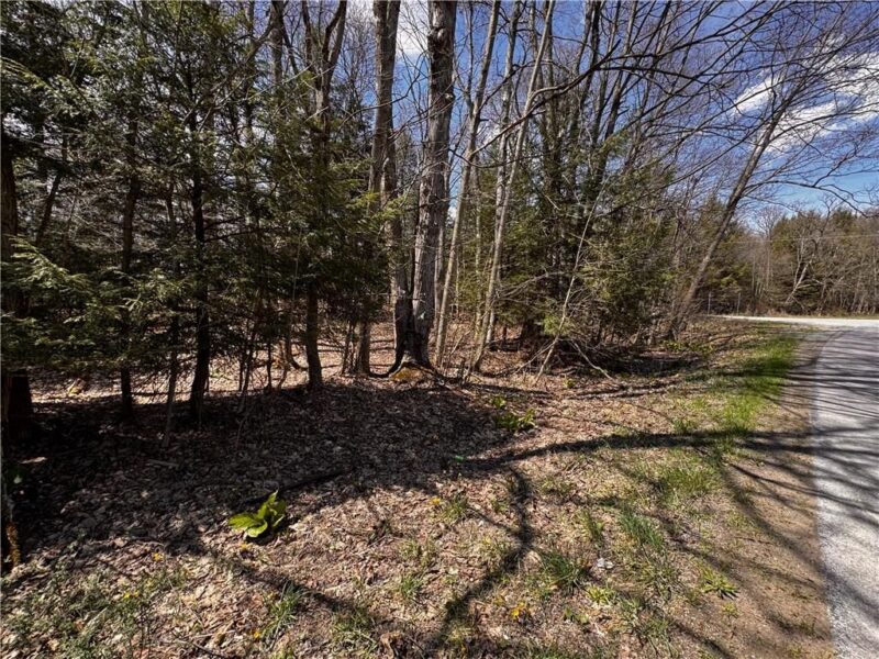 Lot 4 Lake Rd & Danner DRIVE — photo 7