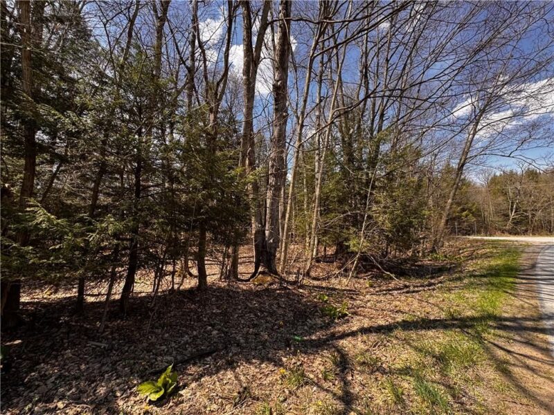 Lot 4 Lake Rd & Danner DRIVE — photo 8