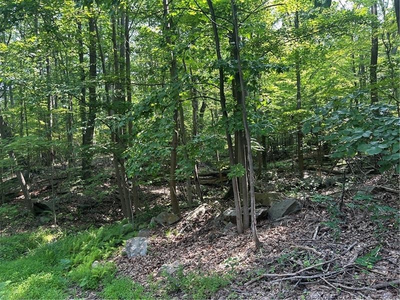LOT 934 Ski Slope RD — photo 1