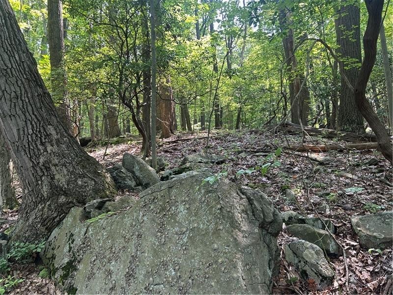 LOT 934 Ski Slope RD — photo 2