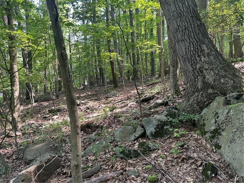 LOT 934 Ski Slope RD — photo 3