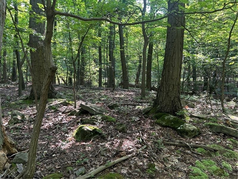 LOT 934 Ski Slope RD — photo 4