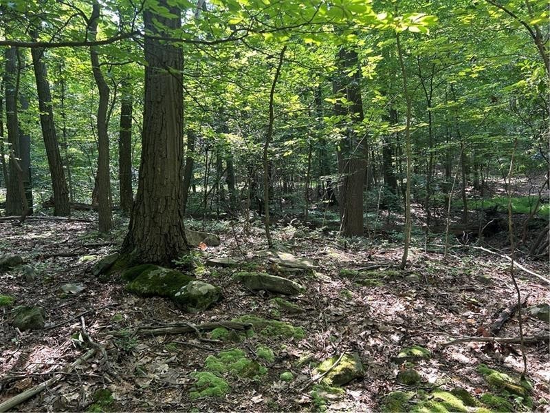 LOT 934 Ski Slope RD — photo 5