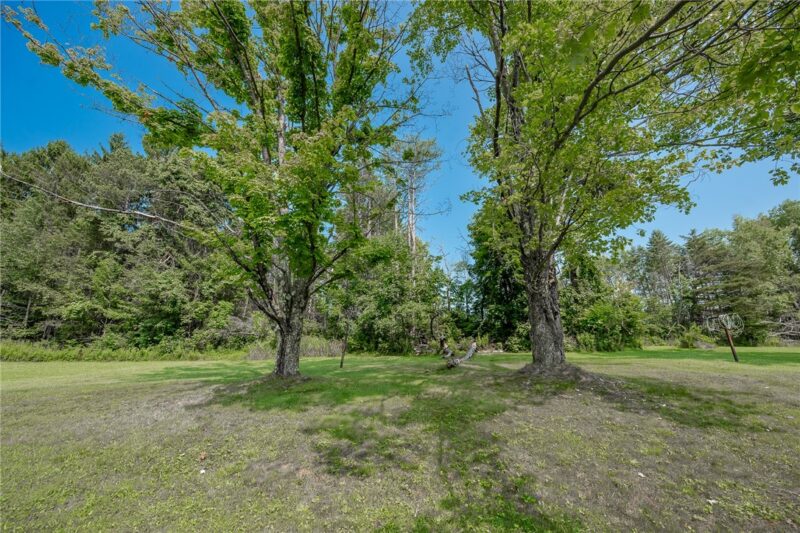 18299 Route 286 Hwy — photo 7