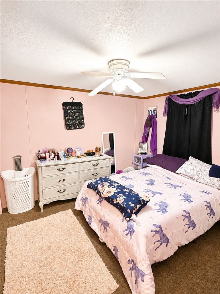 31 Oakview Dr — photo 8