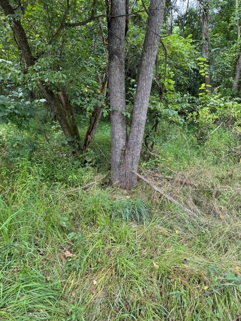 550 Cove Road — photo 1