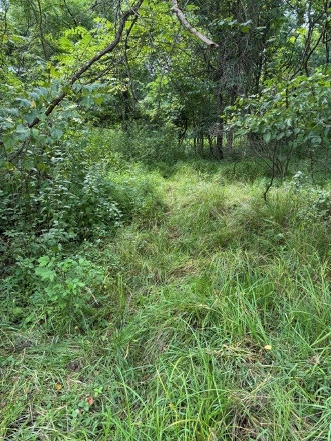 550 Cove Road — photo 2