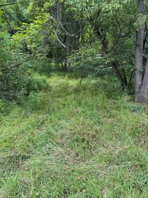 550 Cove Road — photo 3