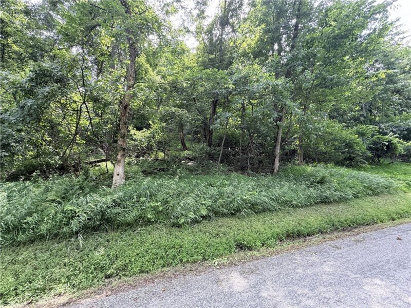 Lot #4 Waltz Dr W — photo 2