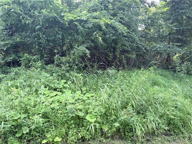Lot #4 Waltz Dr W — photo 6