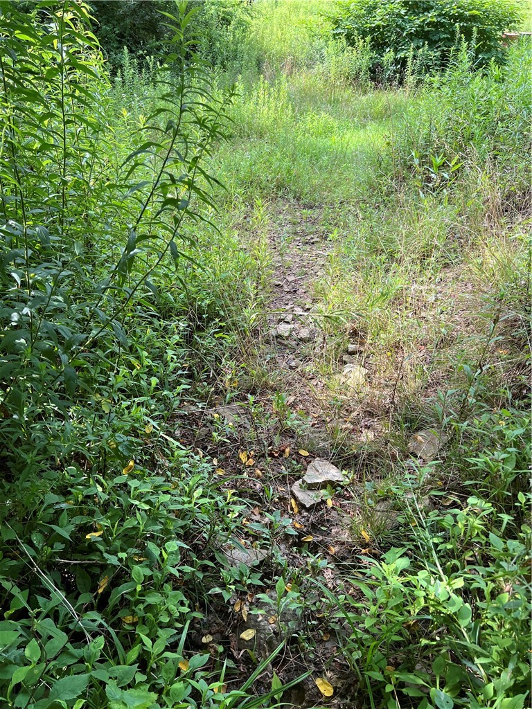 138 Friendship Rd — photo 5