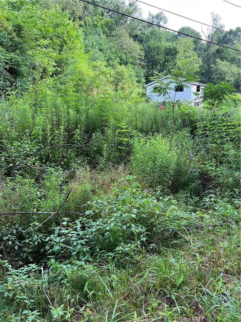 138 Friendship Rd — photo 8