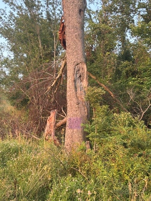 365-391 Landfill Road — photo 5