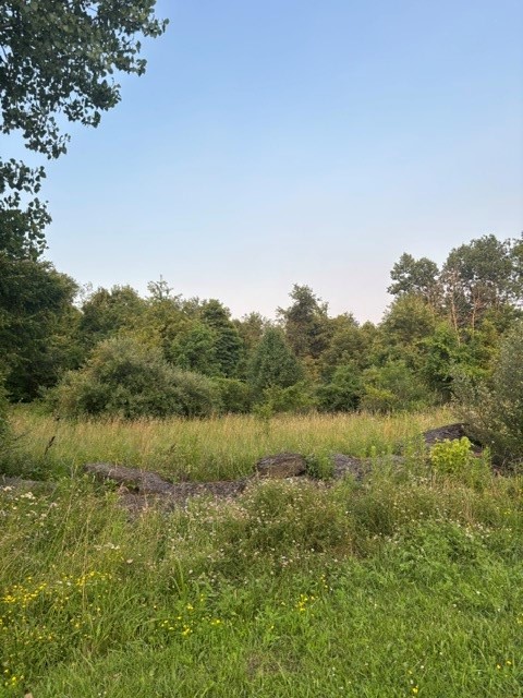 365-391 Landfill Road — photo 7