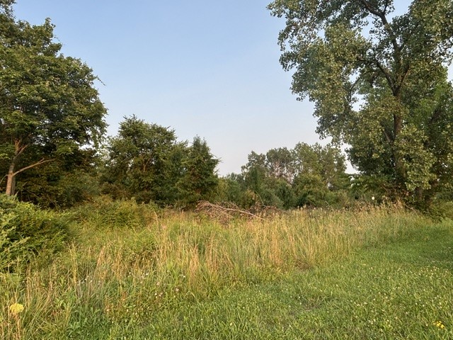 365-391 Landfill Road — photo 8