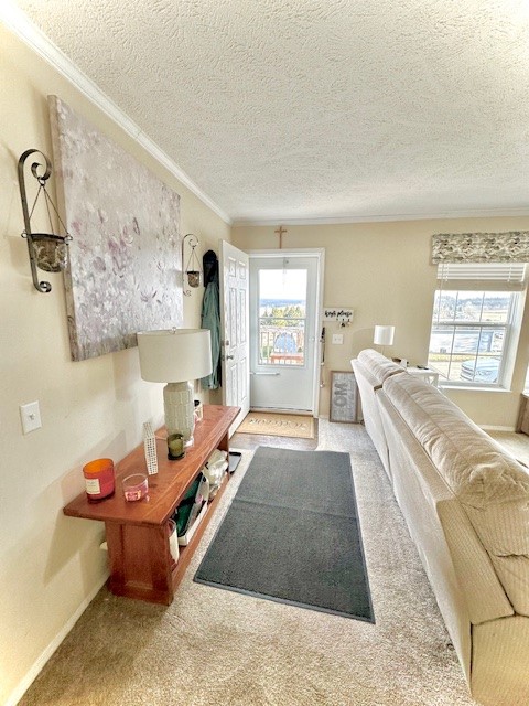 203 Knight Dr — photo 6