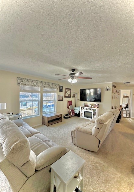 203 Knight Dr — photo 8