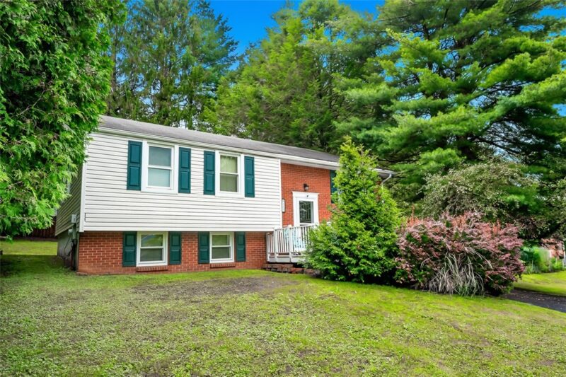 117 Pamela Ln — photo 2
