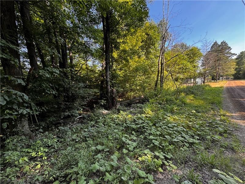 Lot 614 637 638 Weed ROAD — photo 2