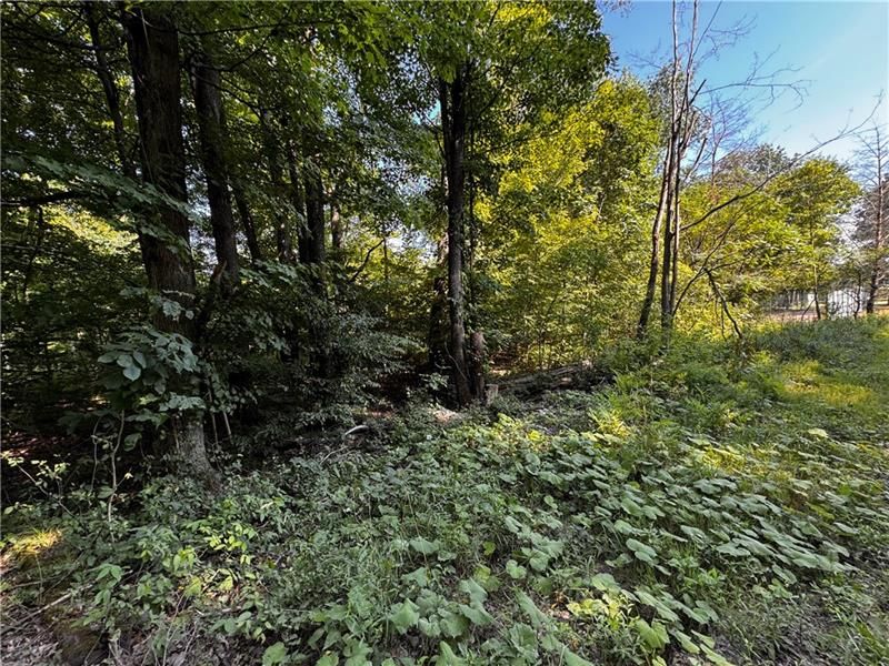 Lot 614 637 638 Weed ROAD — photo 3