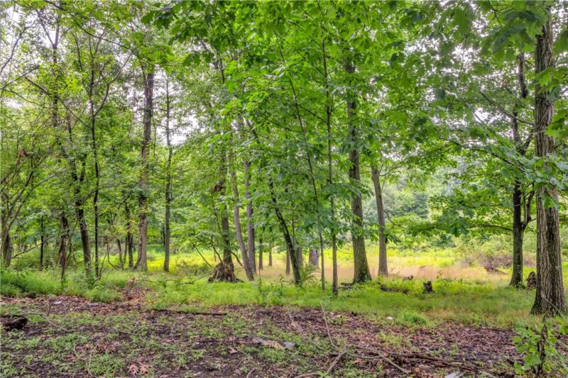 125 Aiken Ln — photo 8