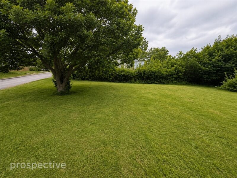 201 Elm Rd — photo 8