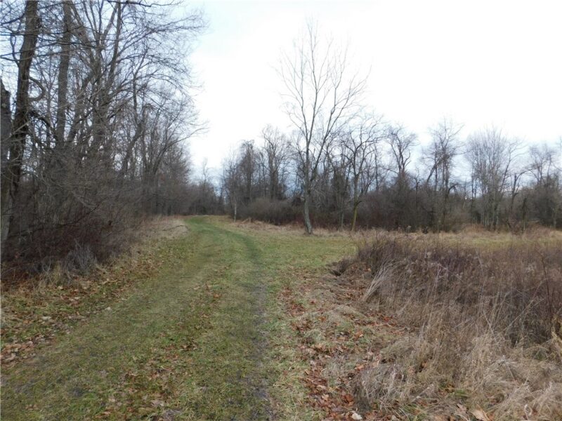 SR188 Jefferson Road — photo 5