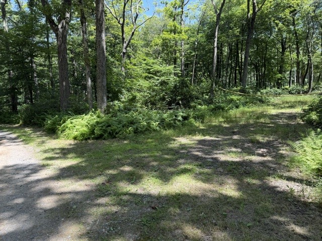 Lot 87 Laurel — photo 2