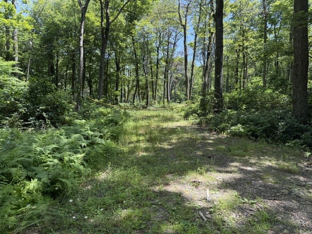 Lot 87 Laurel — photo 3