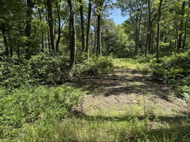 Lot 87 Laurel — photo 4