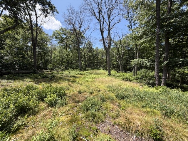 Lot 87 Laurel — photo 5